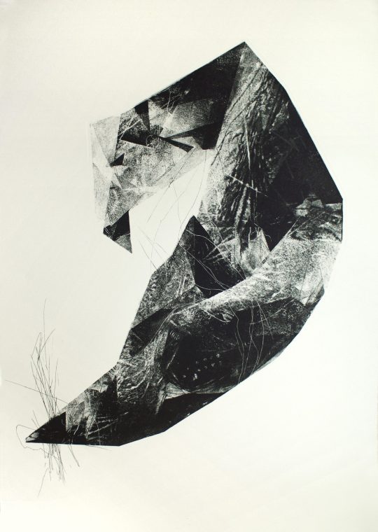 Nieokiełznana, 100x70cm, 2017